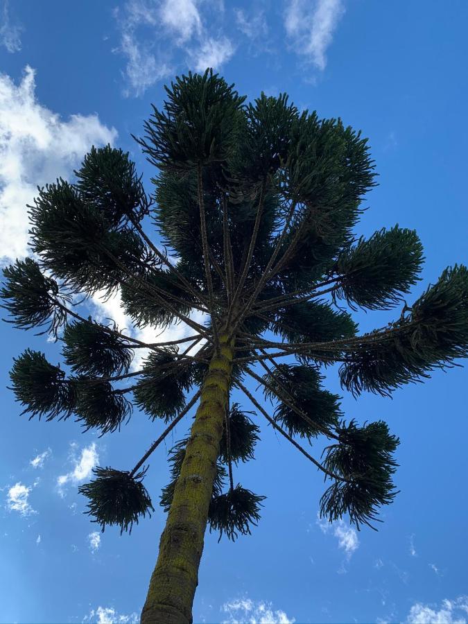Paz Na Montanha Ξενοδοχείο Campos do Jordão Εξωτερικό φωτογραφία
