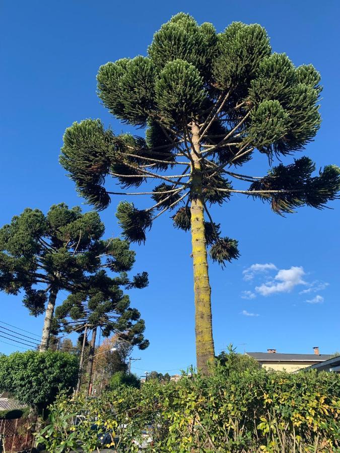Paz Na Montanha Ξενοδοχείο Campos do Jordão Εξωτερικό φωτογραφία